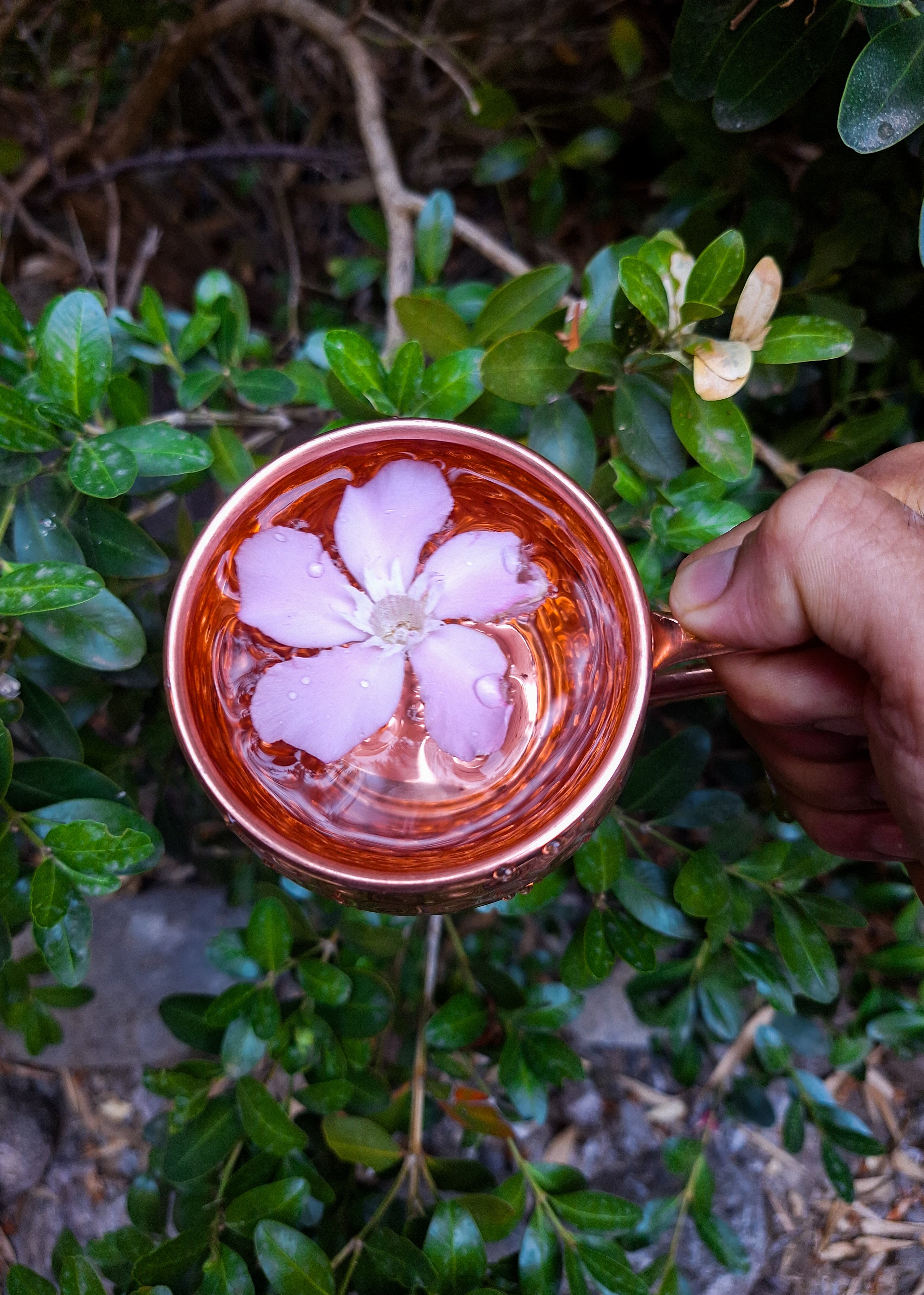 Handcrafted Red Copper Cup – Traditional Hammered Design, Pure Copper Drinkware for Home & Kitchen Decor